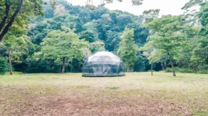 Are Geodesic Dome Tents Easy To Transport