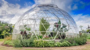 How Efficient Are Geodesic Dome Greenhouses