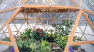 Are Geodesic Dome Greenhouses Good For Winter Growing